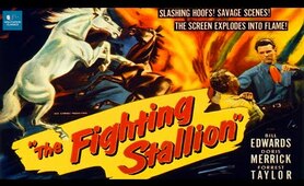 The Fighting Stallion (1950) | Romantic Action Movie | Bill Edwards, Doris Merrick, Forrest Taylor