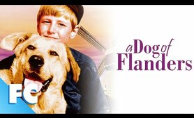 A Dog Of Flanders | Full Family Drama Movie | Family Central